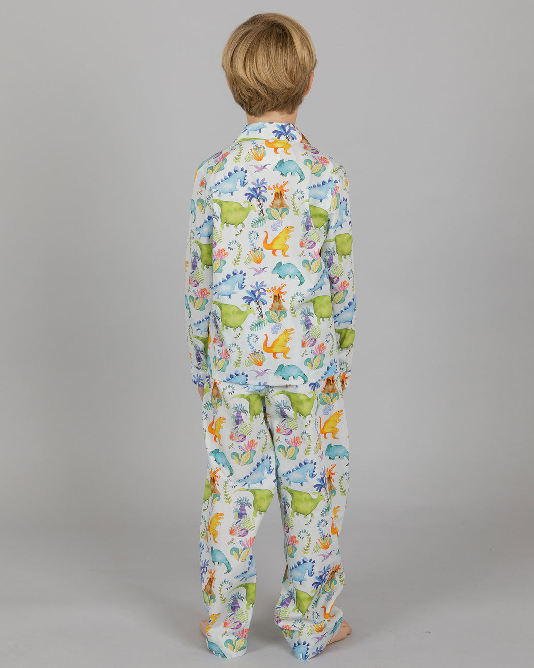 Boys Long Pyjamas - Blue Dinosaurs