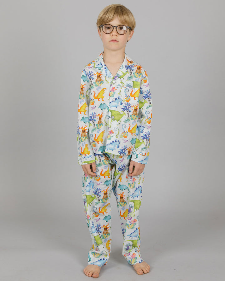 Boys Long Pyjamas - Blue Dinosaurs