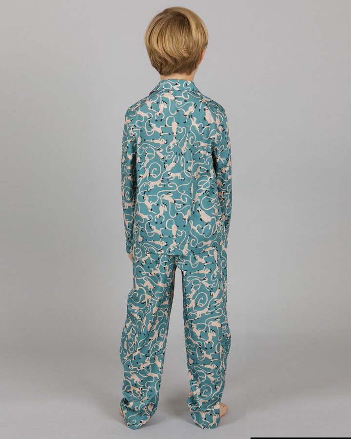 Boys Long Pyjamas - Little Monkey