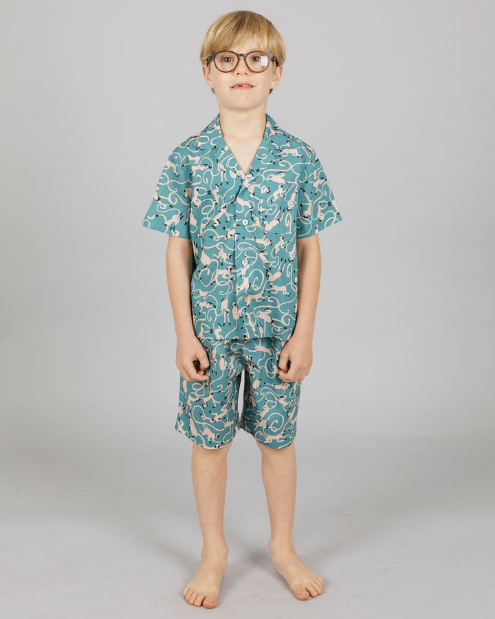 Boys Short Pyjamas - Little Monkeys in Teal Blue