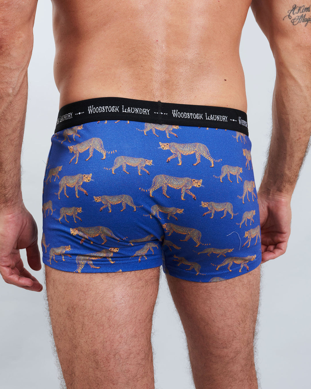 Mens Boxer Briefs - Blue with Leopard Print