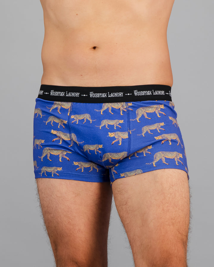 Mens Boxer Briefs - Blue with Leopard Print