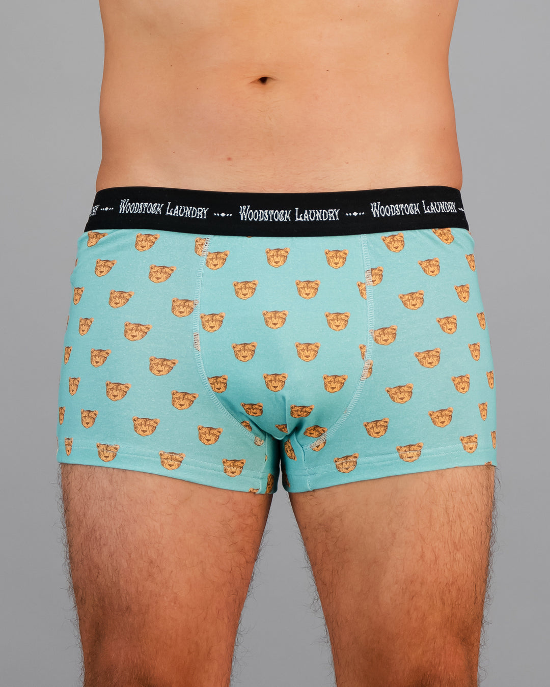 Mens Boxer Briefs - Light Green Leopard Head Print
