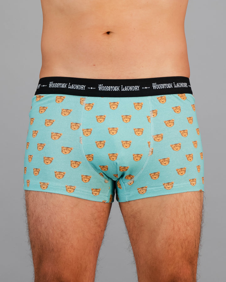 Mens Boxer Briefs - Light Green Leopard Head Print