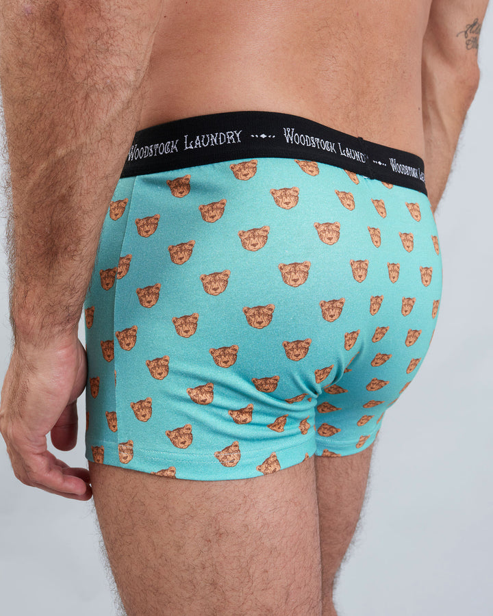 Mens Boxer Briefs - Light Green Leopard Head Print