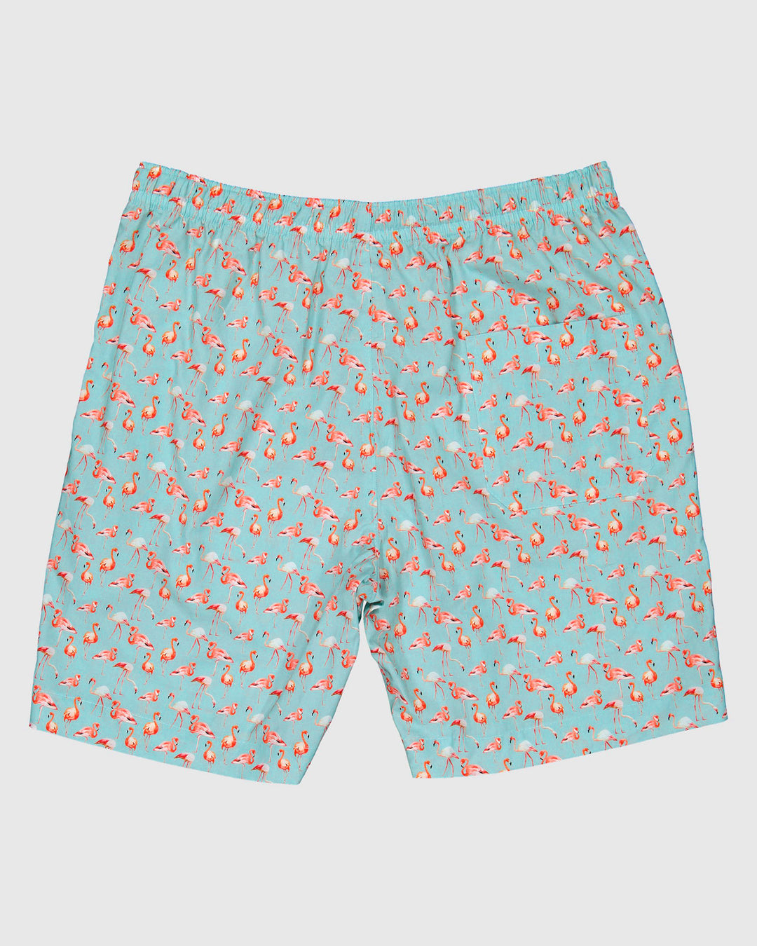 Mens Lounge Shorts - Flamenco Blue